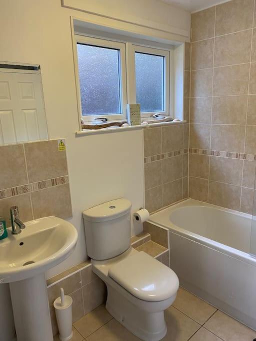 3 Bedroom Lodge With Hot Tub On Lovely Quiet Holiday Park In Cornwall Gunnislake Ngoại thất bức ảnh